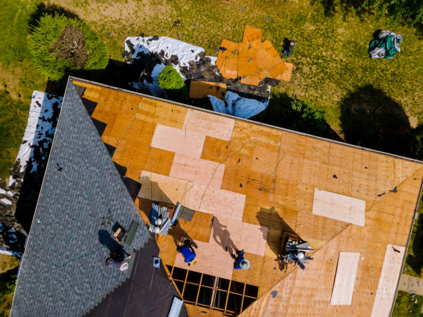 Best Roof Repair Services  in Springdale, AR