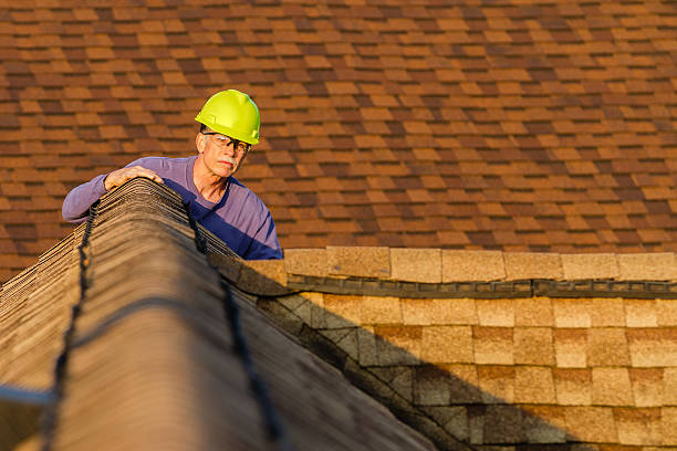 Roof Gutter Cleaning in Springdale, AR